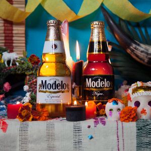 Image post by @ModeloUSA on Twitter
