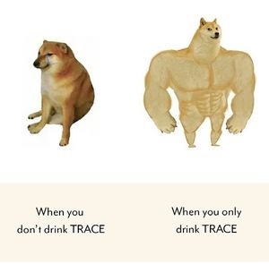 Image post by @mytracewellness on Instagram