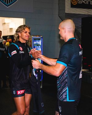 Image post by @pafc on Instagram