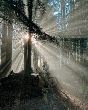 Image post by @arthaimage on Instagram