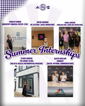 Image post by @hpuwlax on Instagram