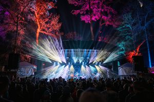 Image post by @lettucefunk on Instagram