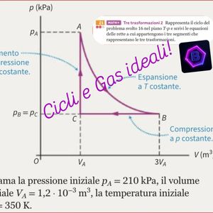 Image post by @la_prof_breccia on Instagram