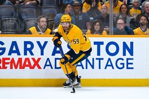 Image post by @PredsNHL on Twitter