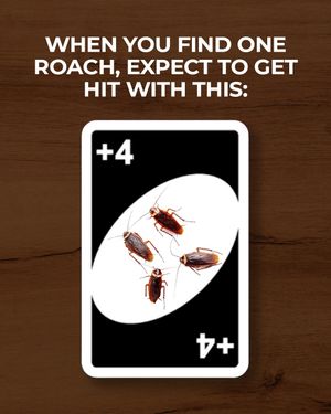 Image post by @ortho on Instagram