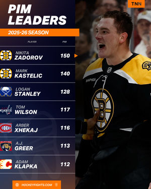 Image post by @hockeyfights on Instagram