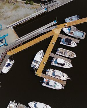 Image post by @islandcovemarinact on Instagram