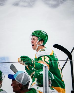 Image post by @minnesotawild on Instagram