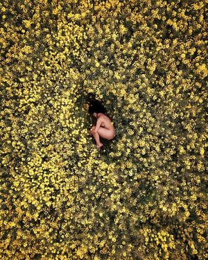 Image post by @droneartgallery on Instagram