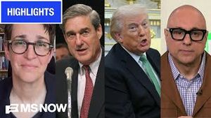 Video post by @msnbc on YouTube