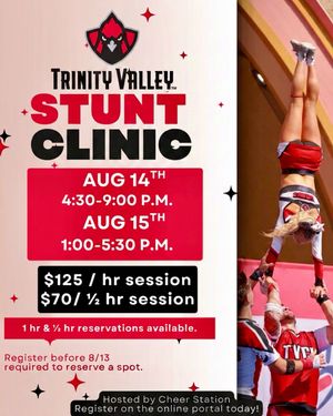 Image post by @cheer_station on Instagram