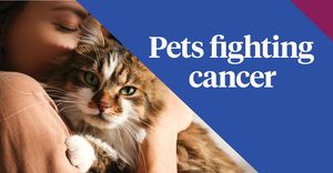 Image post by @company/nationwidepet on LinkedIn