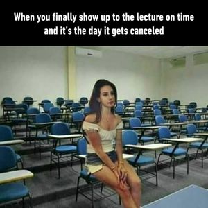 Image post by @9gag on Instagram