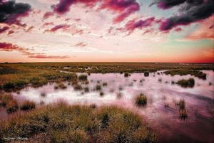 Image post by @sjmagmedia on Instagram