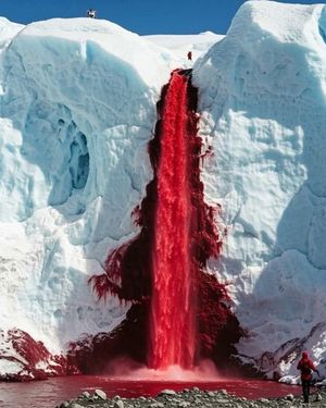 Image post by @fubiz on Instagram