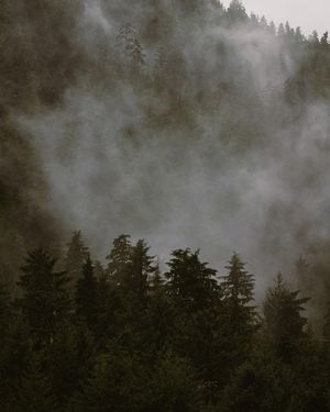 Image post by @shauns_shots on Instagram