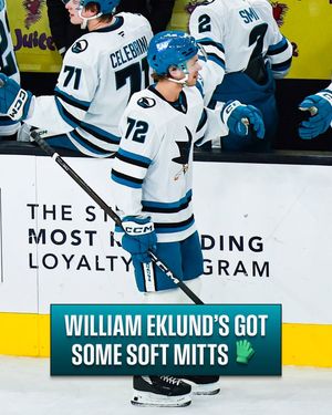 Image post by @nhl on Instagram