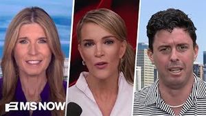 Video post by @msnbc on YouTube