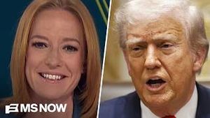 Video post by @msnbc on YouTube