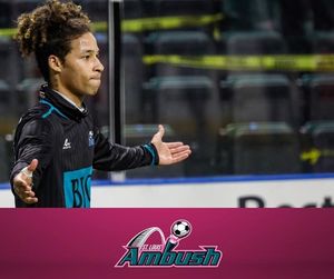 Image post by @stlouisambush on Instagram