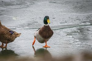 Image post by @ericdeeterphotography on Facebook