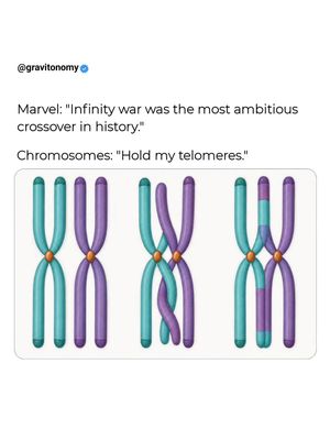 Image post by @gravitonomy on Instagram