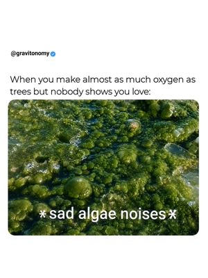 Image post by @gravitonomy on Instagram