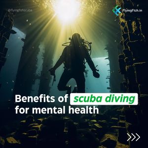 Image post by @flyingfishscuba on Instagram