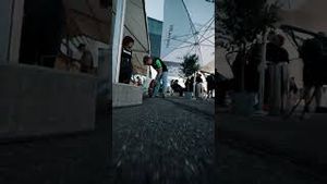 Video post by @sauberf1team on YouTube