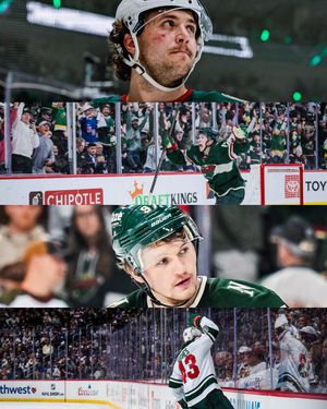 Image post by @minnesotawild on Instagram