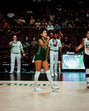 Image post by @hawaiiwvb on Instagram