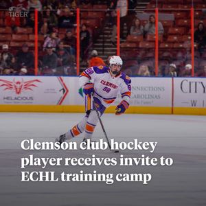 Image post by @thetigersports on Instagram