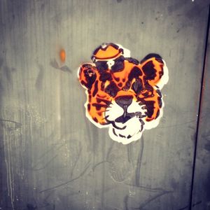 Image post by @pacifictigers on Instagram
