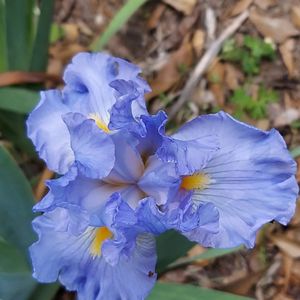 Image post by @txextension on Instagram
