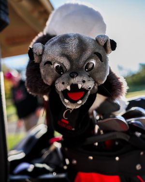 Image post by @gobearcatsbase on Instagram