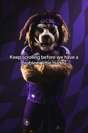 Image post by @orlandocity on TikTok