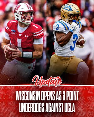 Image post by @rollbadgers on Instagram