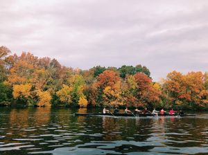 Image post by @bcrowing on Instagram