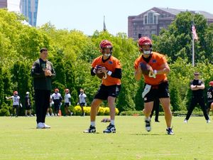 Image post by @bengals on Instagram