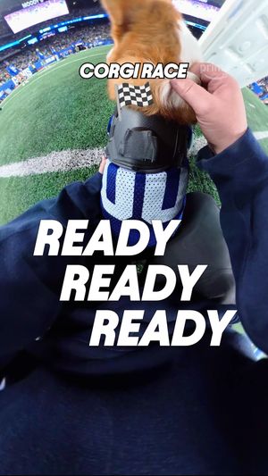 Video post by @nflonprime on TikTok