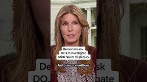 Video post by @msnbc on YouTube