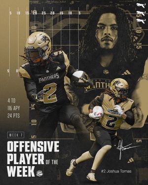 Image post by @panthersifl on Instagram