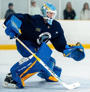 Image post by @goaliegearnerd on Instagram