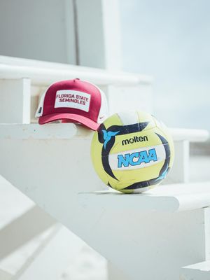 Image post by @fsubeachvolleyball on Instagram