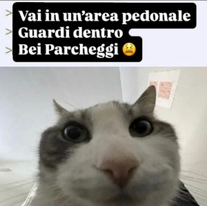 Image post by @bel_parcheggio on Instagram