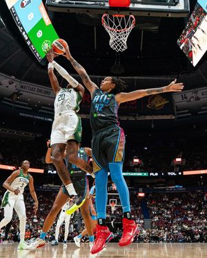 Image post by @wnba on Instagram