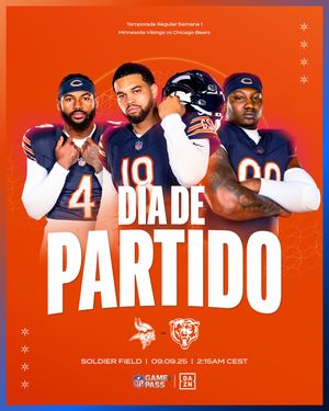 Image post by @bears_es on Instagram