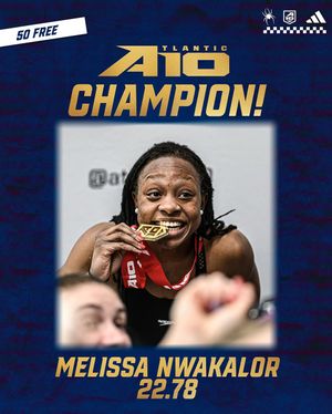 Image post by @spiderswimdive on Instagram