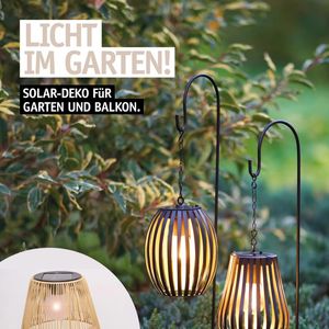 Image post by @oldenburgerwohngarten on Instagram