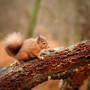 Image post by @rspb on Instagram